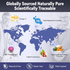 Nature Story Nootropic Brain Supplement